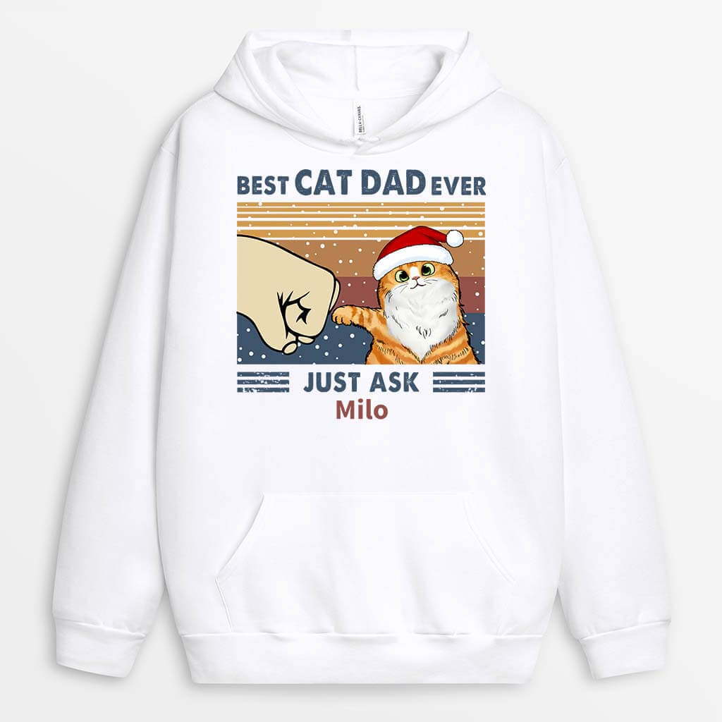 0528HUK2 Personalised Hoodie Gifts Cat Cat Lovers Christmas