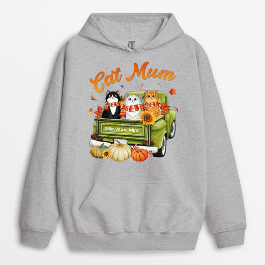 1207HUK1 Personalised Hoodies Gifts Fall Season Cat Lovers