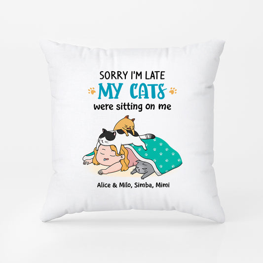2827PUK1 sorry im late pillow funny personalised cat gifts for owners