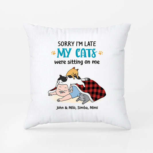 2827PUK2 sorry im late pillow funny personalised cat gifts for owners