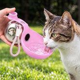 2_914a288e ed70 4de2 b40e 8024d12e93ee
