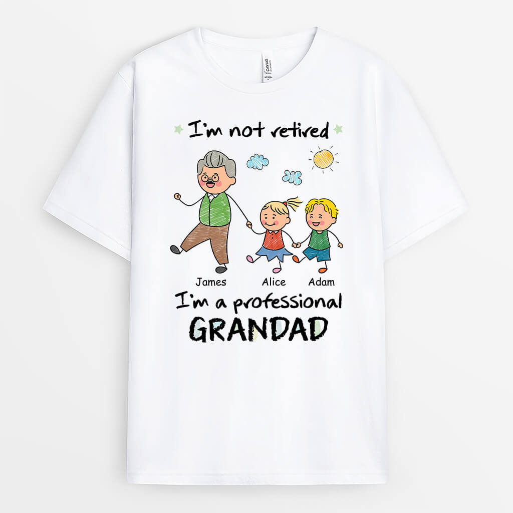 3045AUK1 im not a professional grandad t shirt personalised presents for grandad