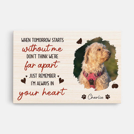 3988CUS1 personalized pet memorial gifts_ memorial canvas with picture_ 3988CTT5C