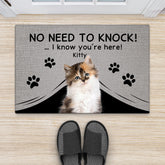 4291DUS2 custom gifts for cat lovers funny no need to knock doormat_ 4291D8Q3D