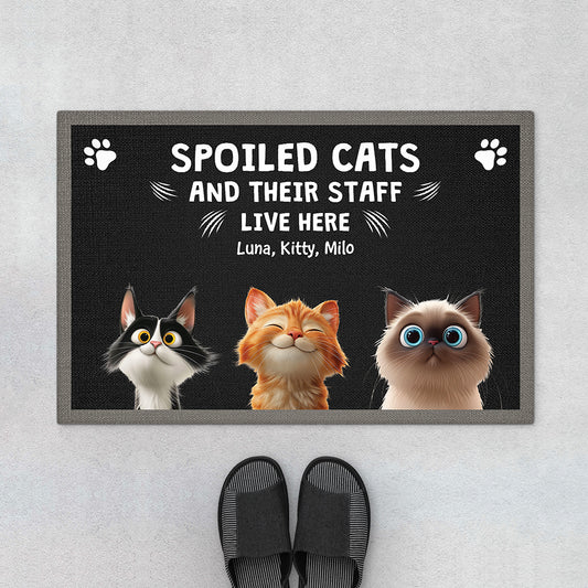 4414DUS1 custom cat doormat funny cat gifts spoiled cats live here 4414D