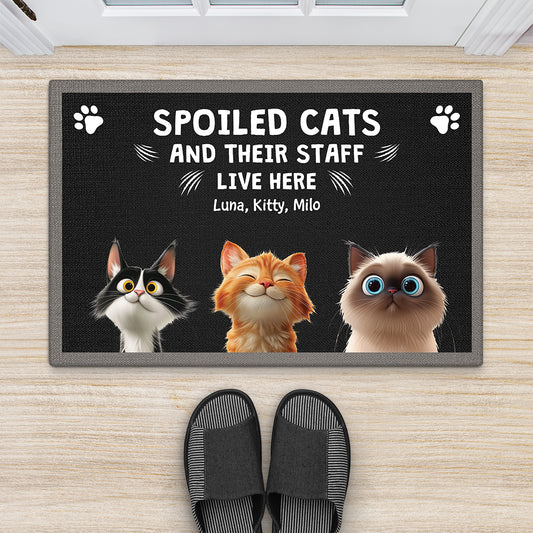 4414DUS2 custom cat doormat funny cat gifts spoiled cats live here 4414D