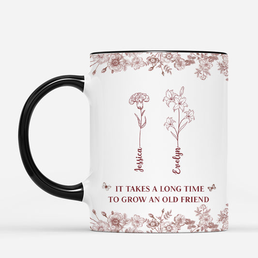 5193MUS2 custom friends mug_ it takes a long time to grow an old friend_ 5193M3YAF