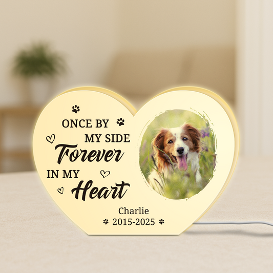 5251LUS1 personalized dog memorial gifts photo light box for dog owners 5251L8H5C_81e5b04a e6a4 4009 a3e0 817e92a30fd1