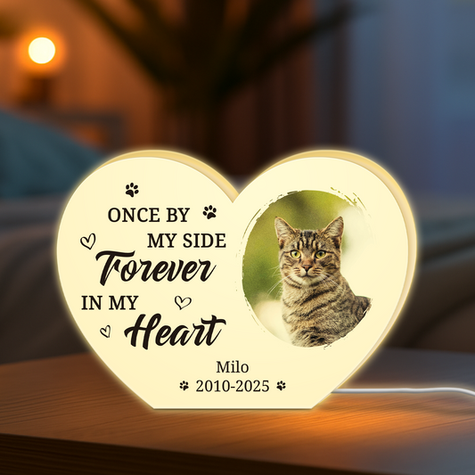 5251LUS2 personalized dog memorial gifts photo light box for dog owners 5251L8H5C