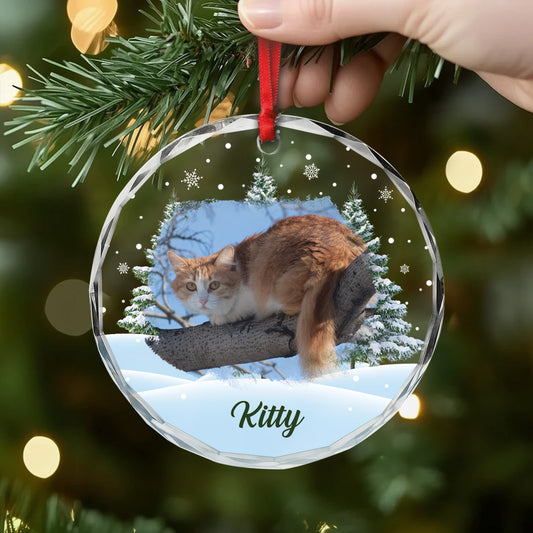 5379OUS2 custom glass photo ornaments_ christmas gifts for cat lovers 5379OKQMD
