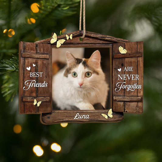 5467OUS1 personalized pet memorial gifts 2 layered wooden ornaments 5467O3ZTD_1