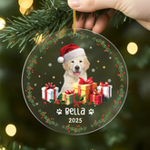 5571OUS2 personalized acrylic christmas ornaments cat photo ornament 5571OKZ5D