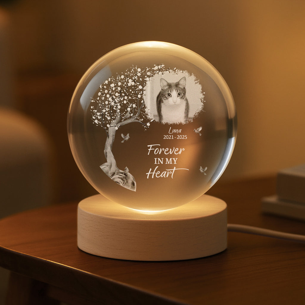 6138LUS2 crystal ball lamp with photo personalized pet memorial gifts 6138L3ZCB