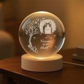 6138LUS2 crystal ball lamp with photo personalized pet memorial gifts 6138L3ZCB