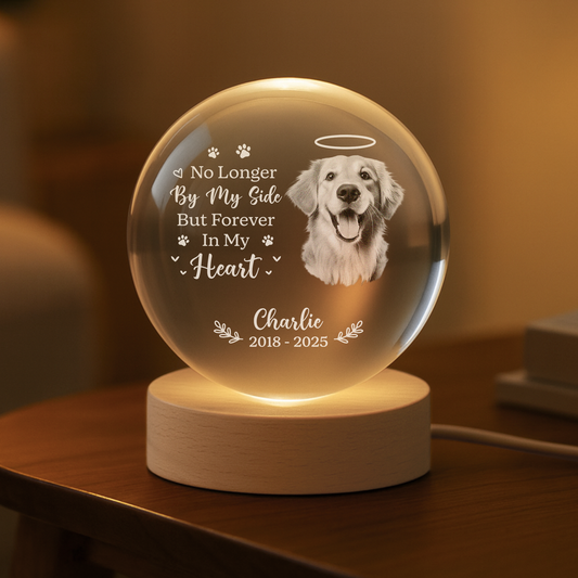 6459LUS2 crystal ball lamp with pet photo personalized cat memorial gifts 6459LKPMC