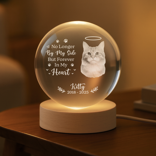 6459LUS2 crystal ball lamp with pet photo personalized dog memorial gifts 6459LKPMC