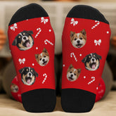 6768JUS2 custom socks with dog face_ christmas gifts for dog lovers 6768JKXZC