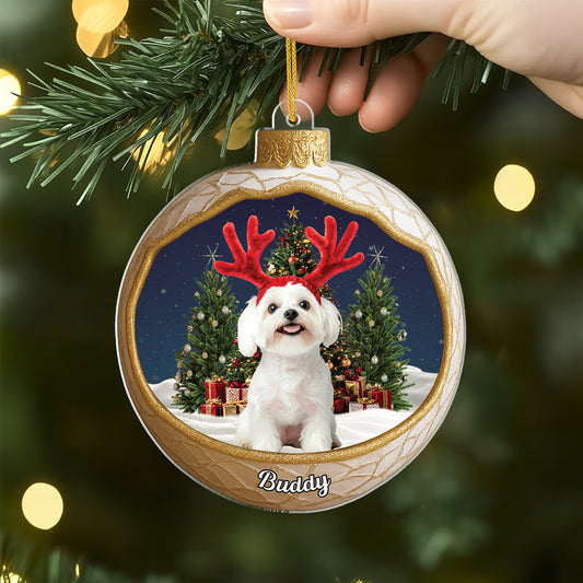 MK2ALL_45e6221f 0501 48d3 8cc1 929d123f6231