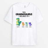 0636AUK1 Personalised T shirts Gifts Dinosaurs Grandpa Dad
