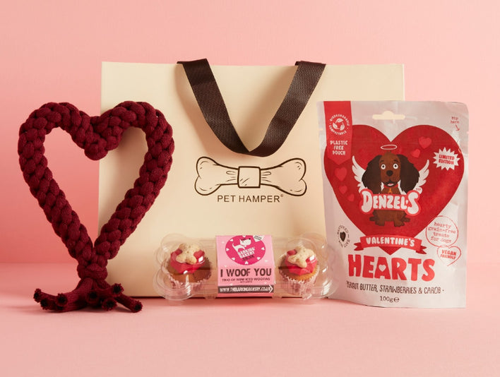 Valentines Gifts for Dogs Ideas