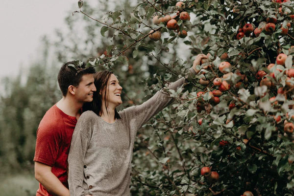 Apple Picking as 1 Year Anniversary Ideas