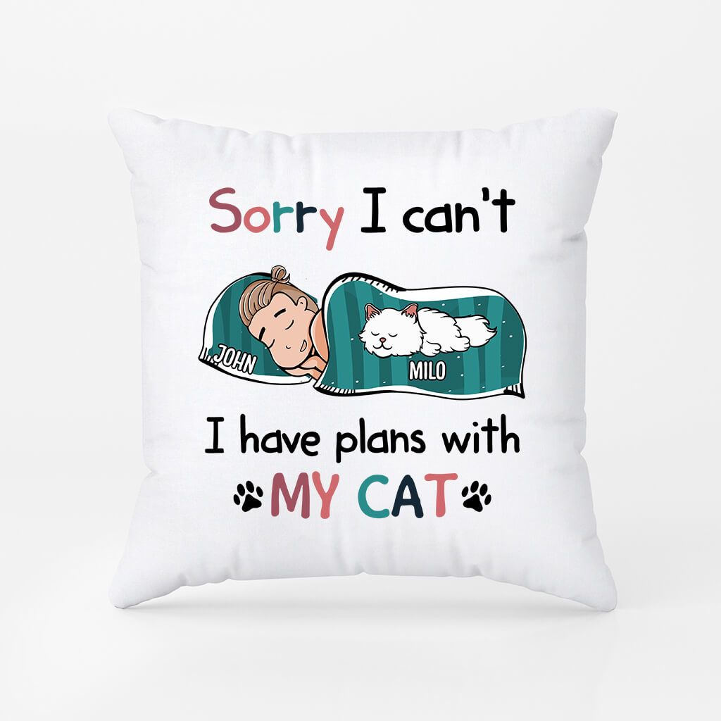 1287PUK1 personalised i have plans with my cat pillow