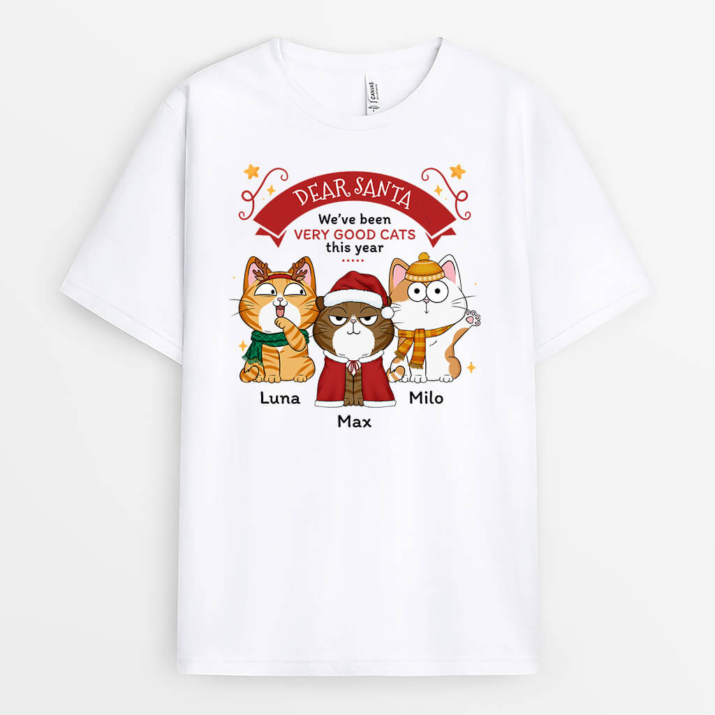 1436AUK1 personalised we_ve been very good cats this year