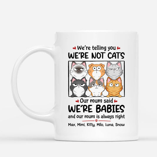 1926UK1 personalised were not cats were little babies mug