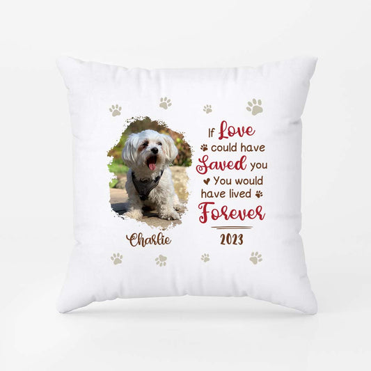 2800PUK1 forever 2023 pillow  personalised dog gifts for owners