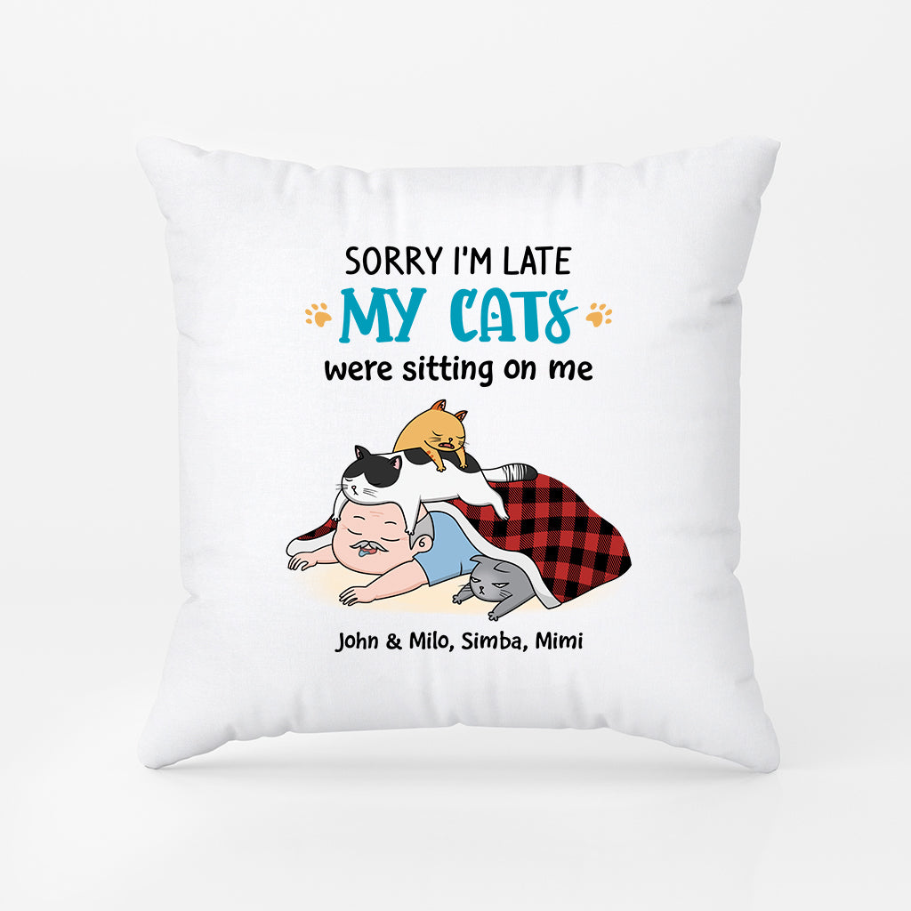 2827PUK2 sorry im late pillow  funny personalised cat gifts for owners