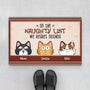 3516DUK1 on the naughty list we regret nothing christmas doormat  personalised gits for cat lovers_d6253f4c 0a7b 4142 af5b e1bb745c6357
