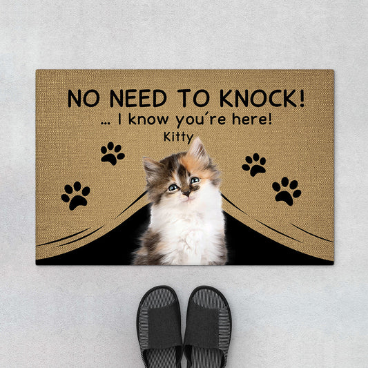 4291DUS1 custom gifts for cat lovers funny no need to knock doormat_ 4291D8Q3D