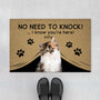 4291DUS1 custom gifts for cat lovers funny no need to knock doormat_ 4291D8Q3D