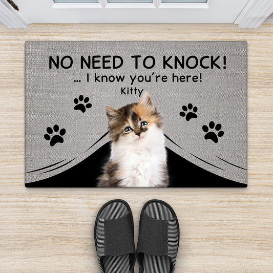 4291DUS2 custom gifts for cat lovers funny no need to knock doormat_ 4291D8Q3D