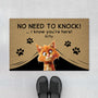 4334DUS1 funny personalized _cat gifts no need to knock cat doormat 4334D8Q5D