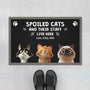 4414DUS1 custom cat doormat funny cat gifts spoiled cats live here  4414D