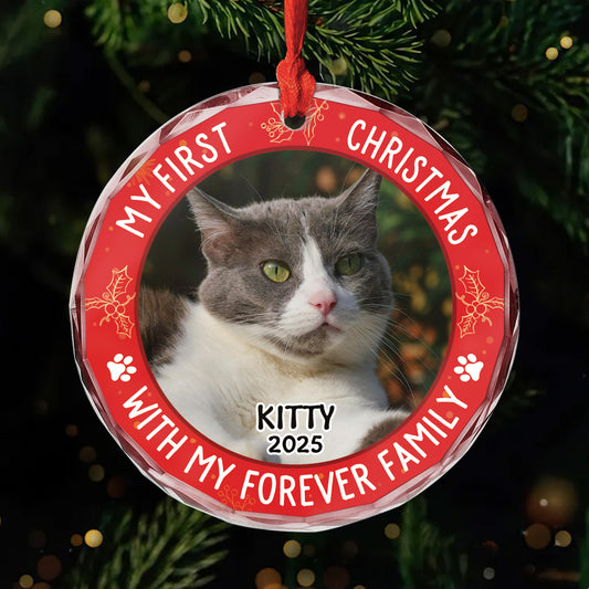 5353OUS1 custom gifts for cat lovers glass christmas tree ornaments 5353OTGMD_5fde38bd 9611 40ad a732 0f0eaa8c2913