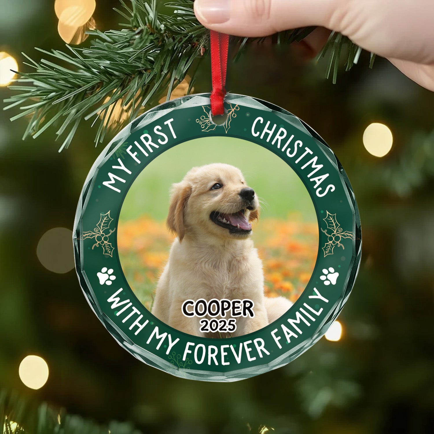 5353OUS2 custom gifts for cat lovers glass christmas tree ornaments 5353OTGMD_18d900e8 3cc9 4c2e b3e9 976d1735da3e