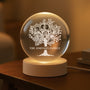 5376LUS2 crystal ball lamp with photos personalized family tree gifts 5376LKV5I
