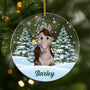 5379OUS1 custom acrylic photo ornaments_ christmas gifts for horse lovers 5379OKQ5U