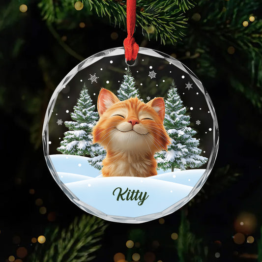 5379OUS1 custom glass photo ornaments_ christmas gifts for cat lovers 5379OKQMD