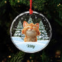 5379OUS1 custom glass photo ornaments_ christmas gifts for cat lovers 5379OKQMD