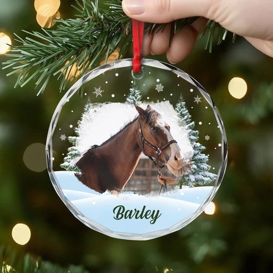 5379OUS2 custom glass photo ornaments_ christmas gifts for horse lovers 5379OKTMU