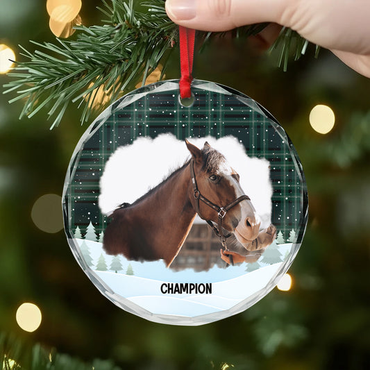 5387OUS2 personaliszed glass ornaments xmas gifts for horse lovers 5387O6VAU