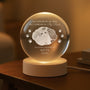 5408LUS2 custom photo crystal ball lamp in loving memory of cat gifts 5408LKQ5D_d6db69da 9bfc 4632 b152 919c8b115b92
