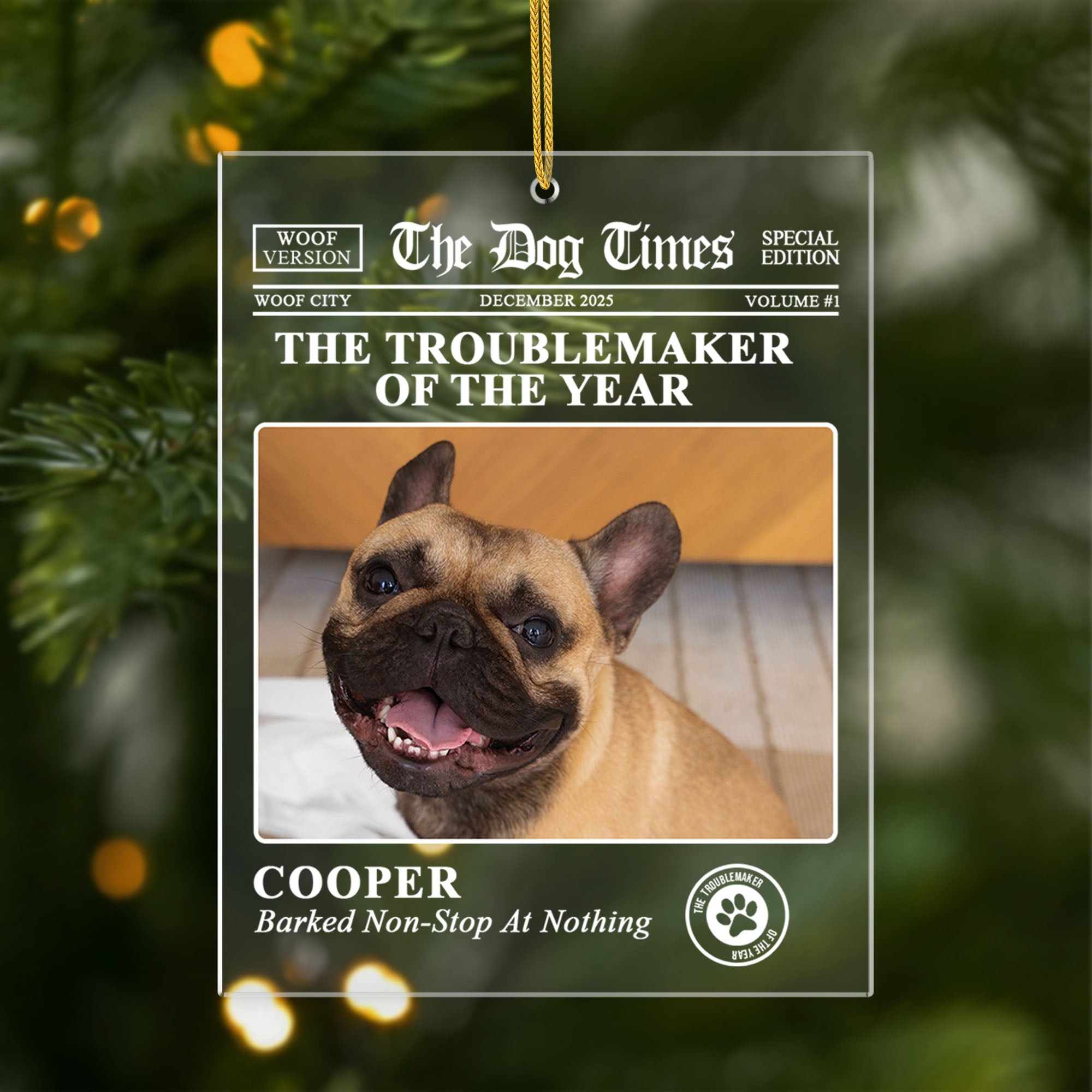 5560OUS1 personalized gifts for dog lovers magazine photo acrylic ornament 5560O