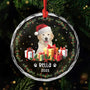 5571OUS1 custom glass photo ornaments christmas gifts for a dog lover 5571OKVAC