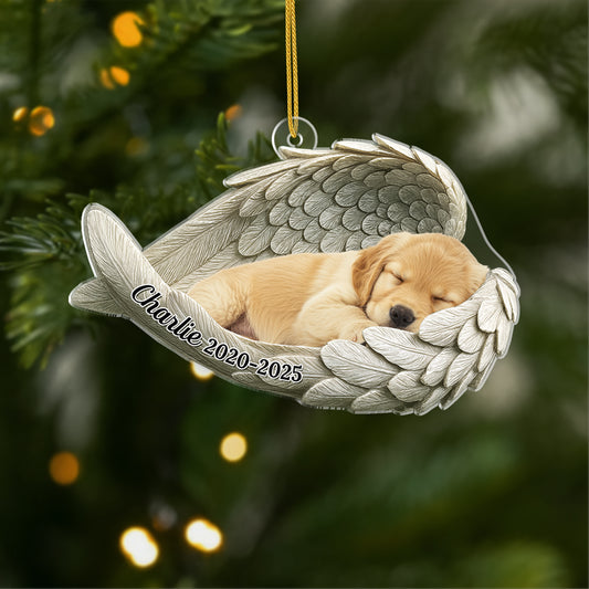 5697OUS1 personalized pet memorial gifts acrylic ornaments_ with photo 5697O8QNC