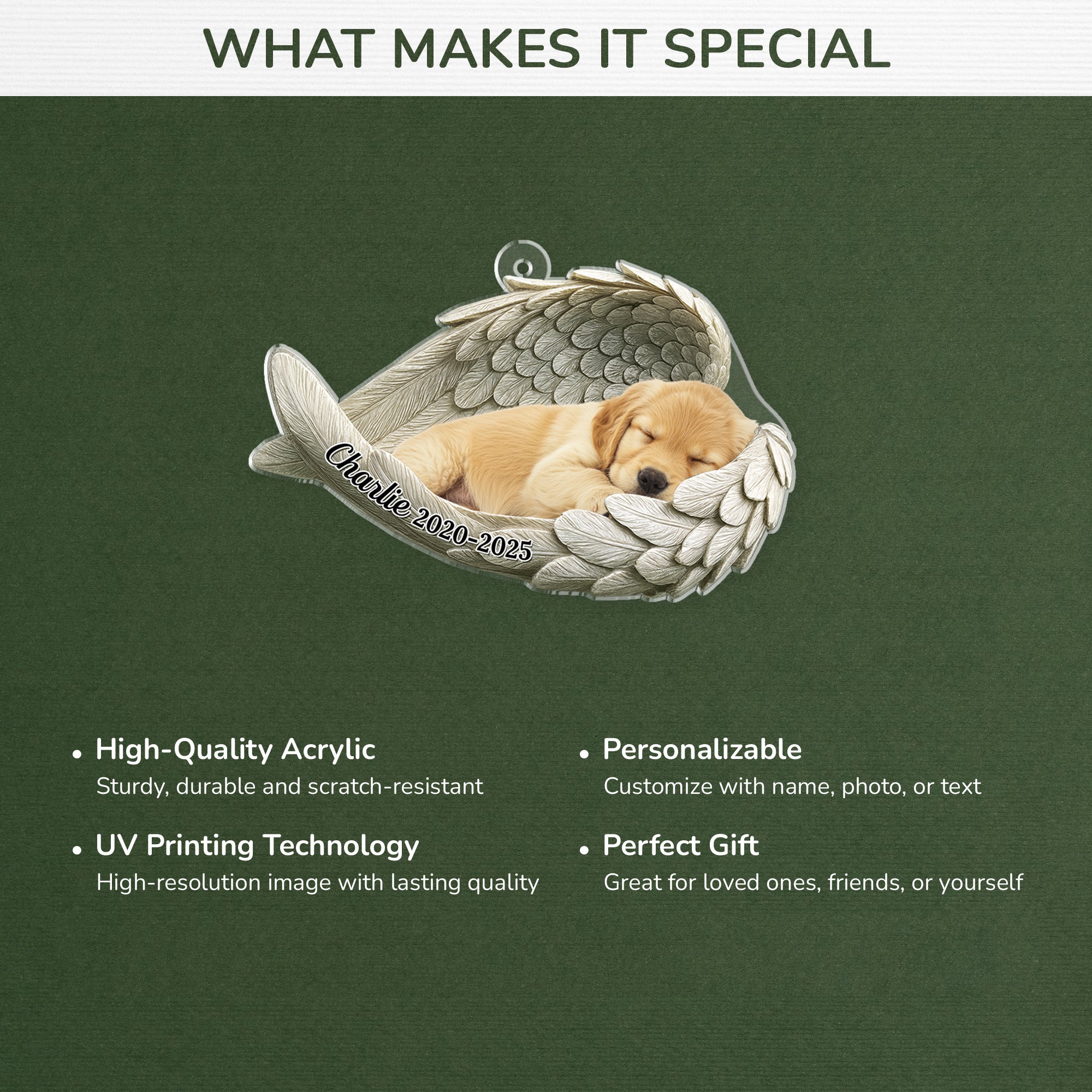 5697OUS4 personalized pet memorial gifts acrylic ornaments_ with photo 5697O8QNC