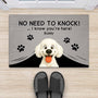 5969DUS2 no need to knock doormat personalized gifts for dog lovers 5969DKZ0C